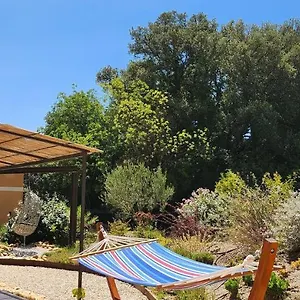 A 2 Pas Des Vignes, Hébergements Et à Du Pape, Maison Numéro 11 Hébergement de vacances